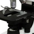 Microscópio trinocular kasvi