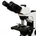Microscópio trinocular kasvi